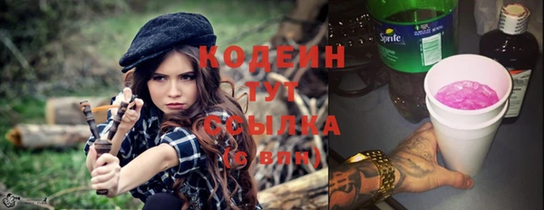 сатива Арсеньев