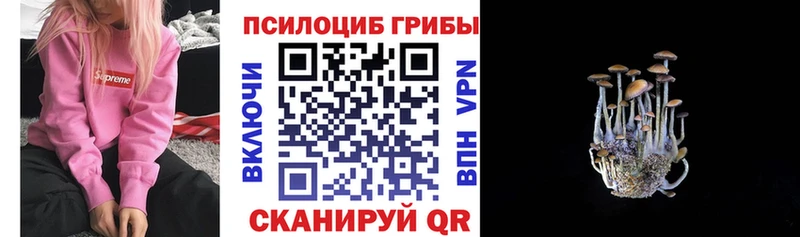 OMG вход  купить наркотик  Кирово-Чепецк  Псилоцибиновые грибы ЛСД 